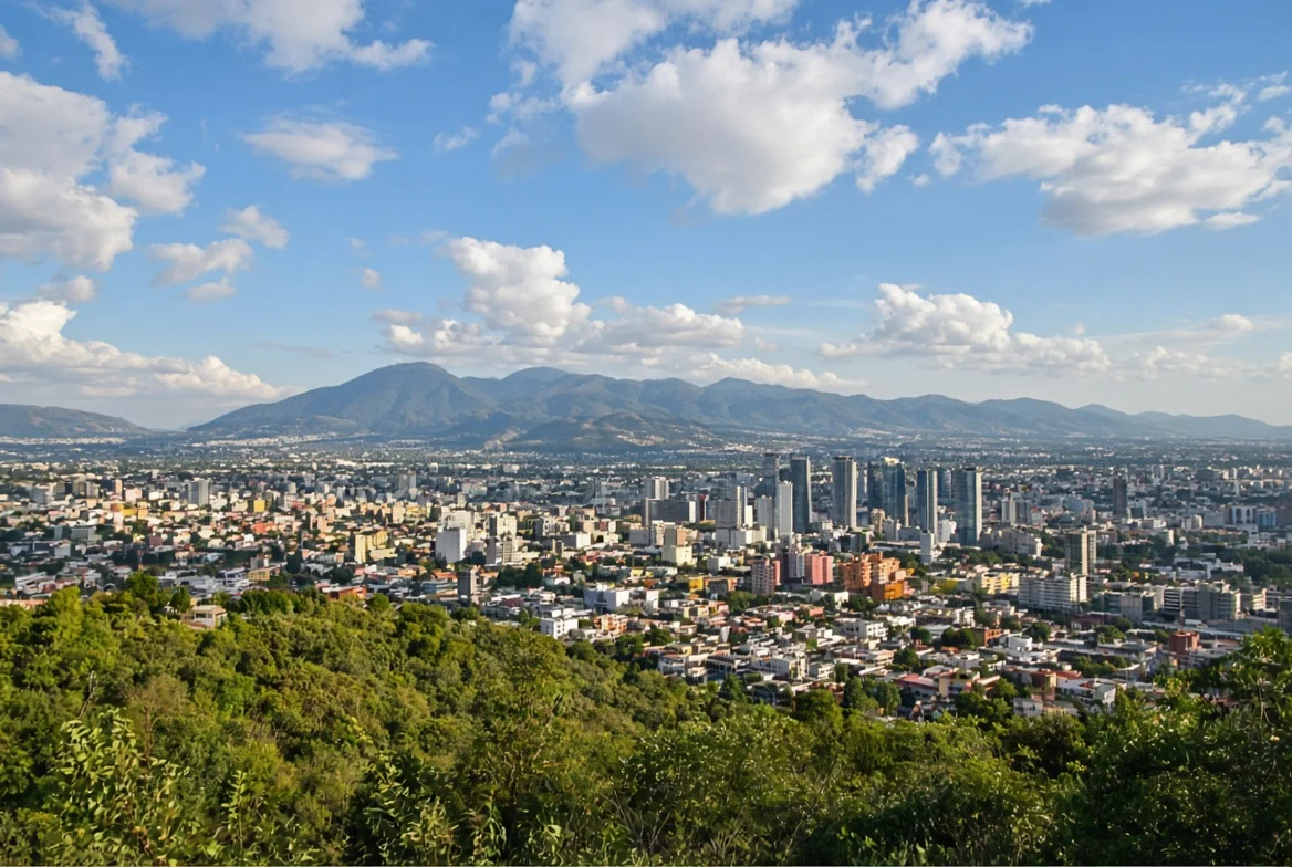View over Mexico City from a wooded hillside