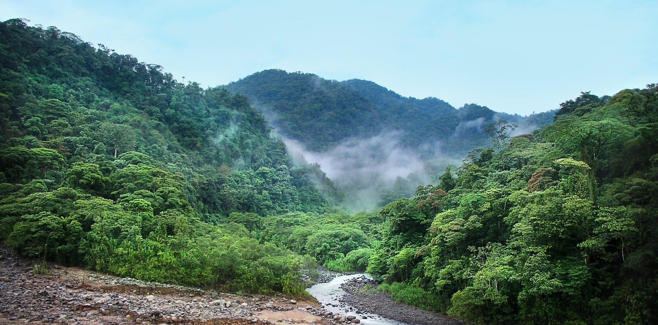 Dense tropical forest on hillsides with mist and a river in the valley
