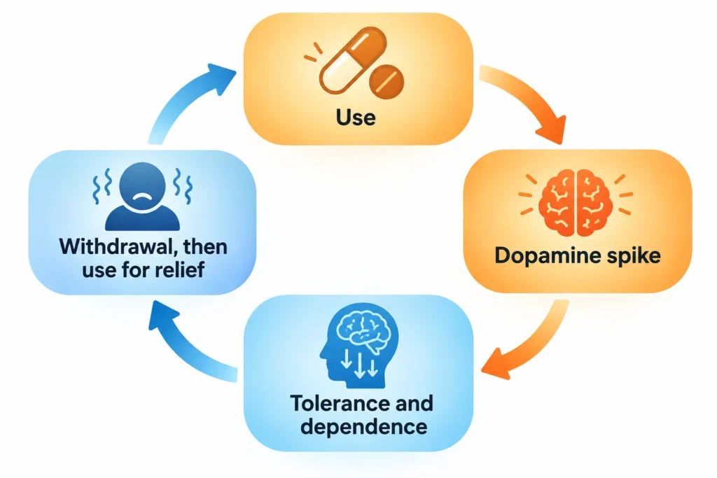 Cycle diagram showing opioid use shifting from reward to relief as tolerance and withdrawal build